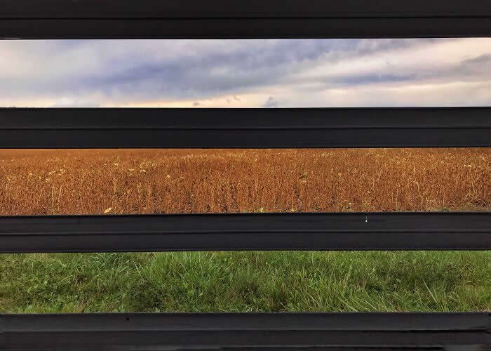 Landscape Perfectly Divided By Fence - Perfectly Matched Satisfying Photos