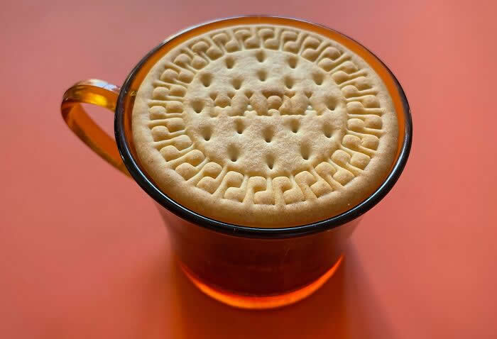 This Biscuit Fitting Perfectly On My Coffee Cup - Perfectly Timed Moments Where Random Things Fit Together