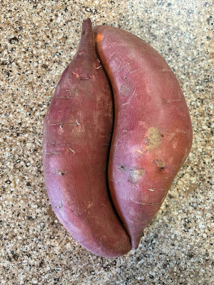 These Two Seemingly Random Sweet Potatoes Fitting Perfectly Together - Perfectly Timed Moments Where Random Things Fit Together