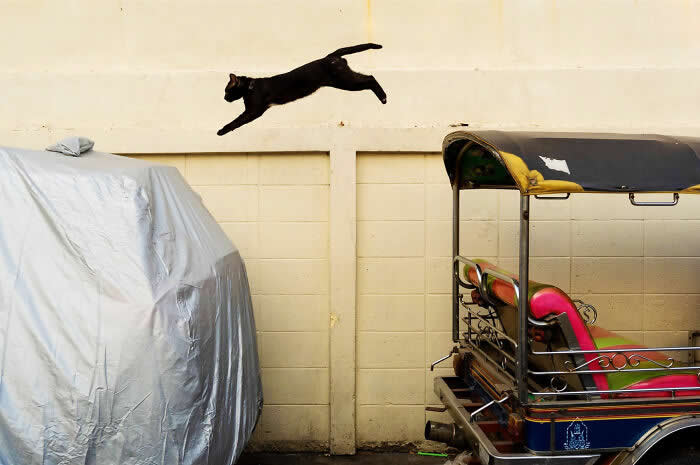Perfectly Timed Street Photos by Tavepong Pratoomwong