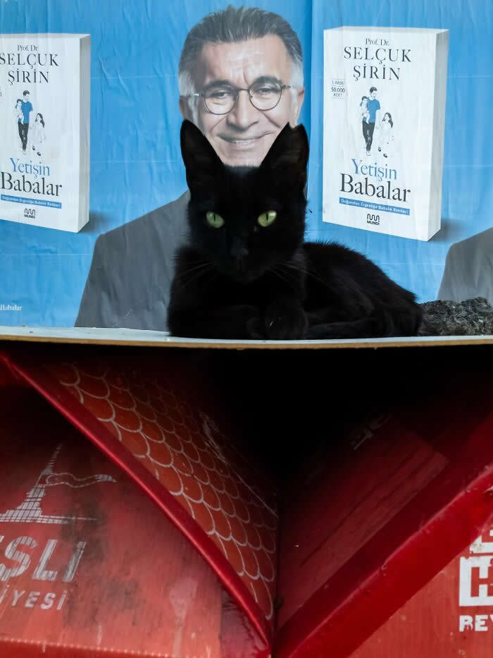 Perfectly Timed Street Photos by Tavepong Pratoomwong