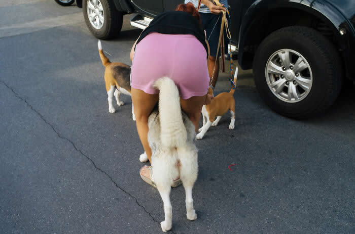 Perfectly Timed Street Photos by Tavepong Pratoomwong