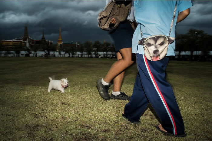 Perfectly Timed Street Photos by Tavepong Pratoomwong