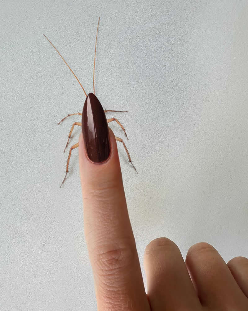 Playful Photos by Dudi Ben Simon With Everyday Life Objects