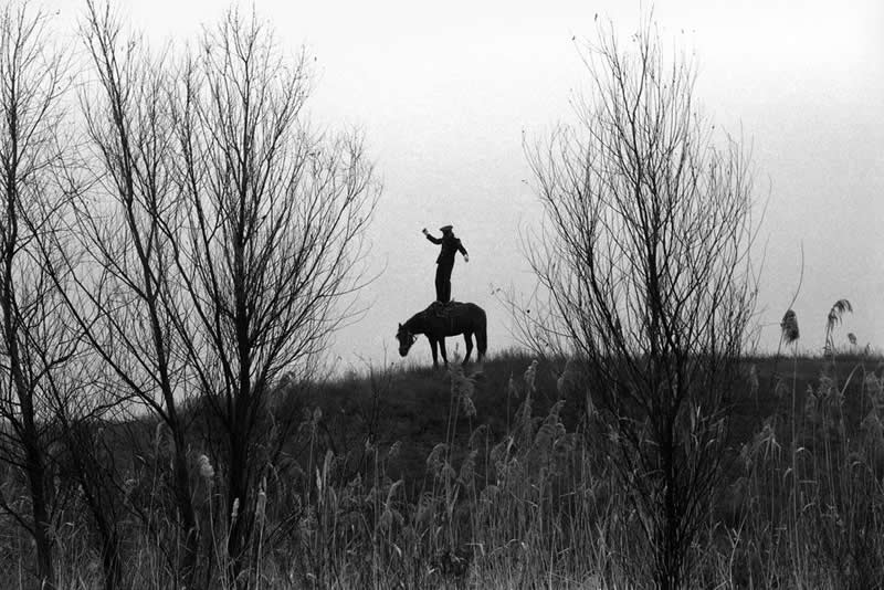 Standing in all growth in a saddle, farm of Senshin - Soulful Black and White Photos