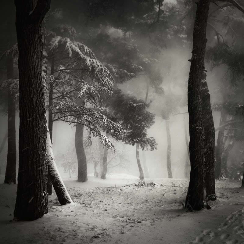 Snow in Poreč, Croatia, 2011 - Soulful Black and White Photos
