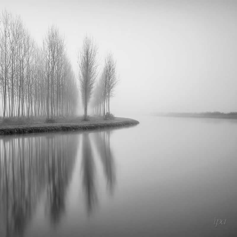 Riverside trees - Soulful Black and White Photos