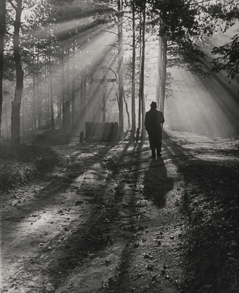 Autumn morning, 1939 - Soulful Black and White Photos