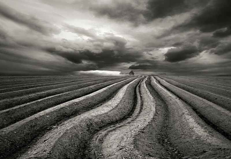 Farmland, 2016 - Soulful Black and White Photos