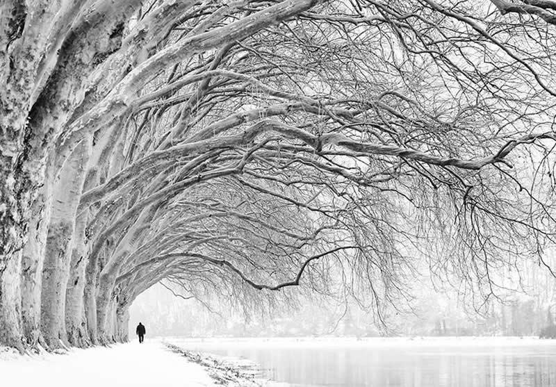 A walk along the shore of Lake Baldeneysee, Essen, Germany - Soulful Black and White Photos