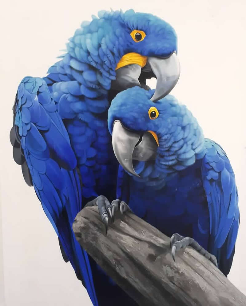 Realistic Bird Paintings by Petterson Silva
