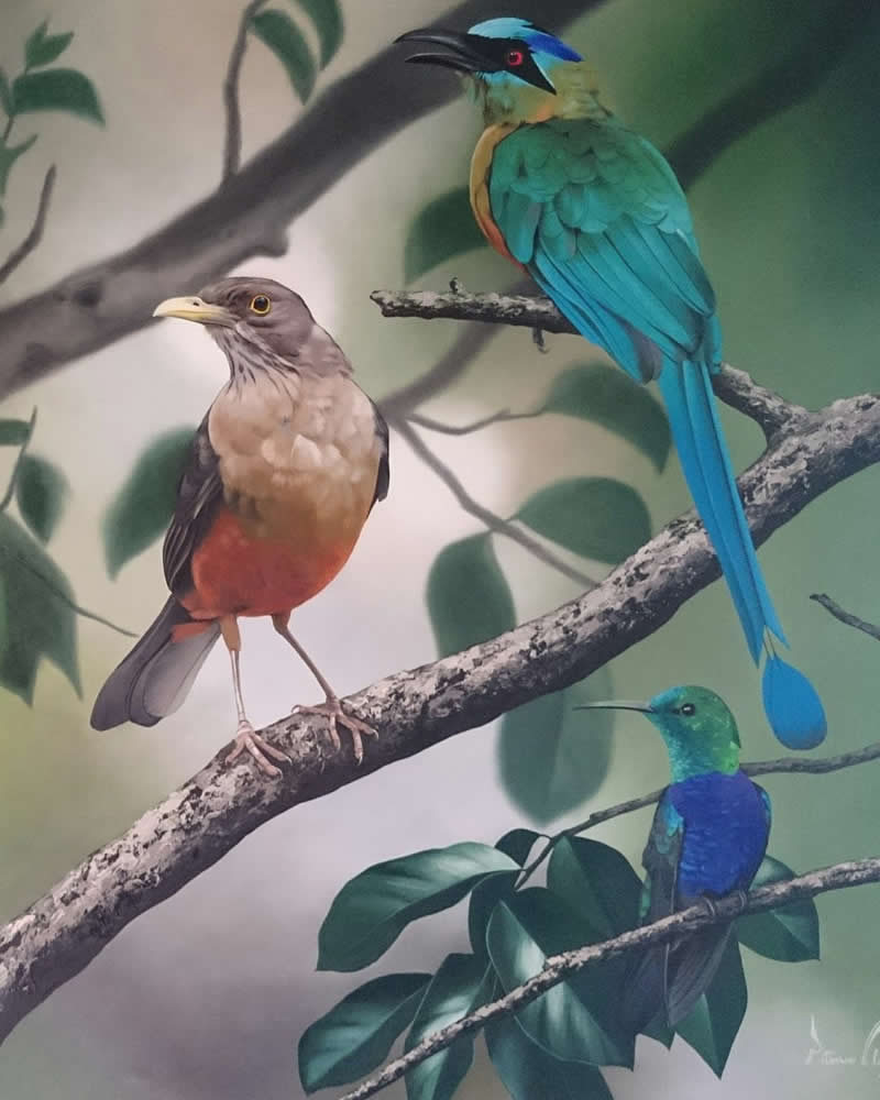 Realistic Bird Paintings by Petterson Silva