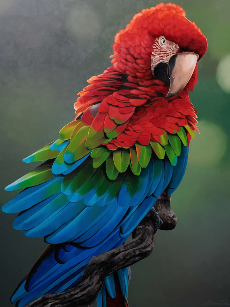 Realistic Bird Paintings by Petterson Silva