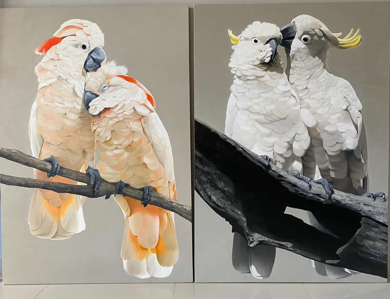Realistic Bird Paintings by Petterson Silva