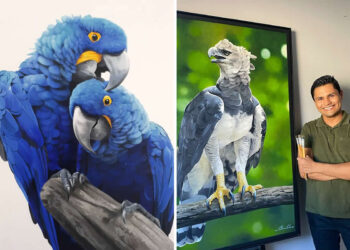 Realistic Bird Paintings by Petterson Silva
