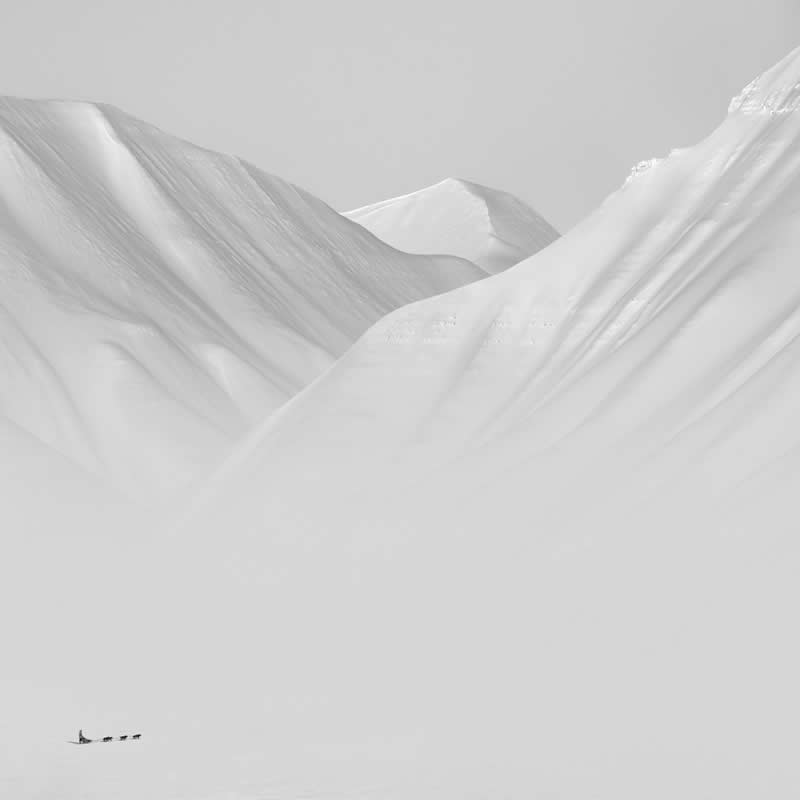 Arctic Silence by Patrick Ems - Nature Winners of the 2025 Refocus Awards