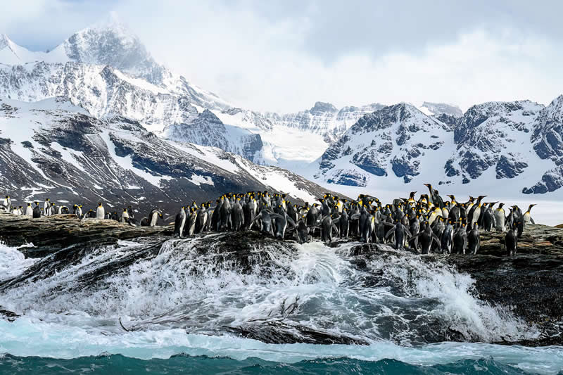 Where Peaks meet the Icy Edge by Rachel Spencer - Nature Winners of the 2025 Refocus Awards