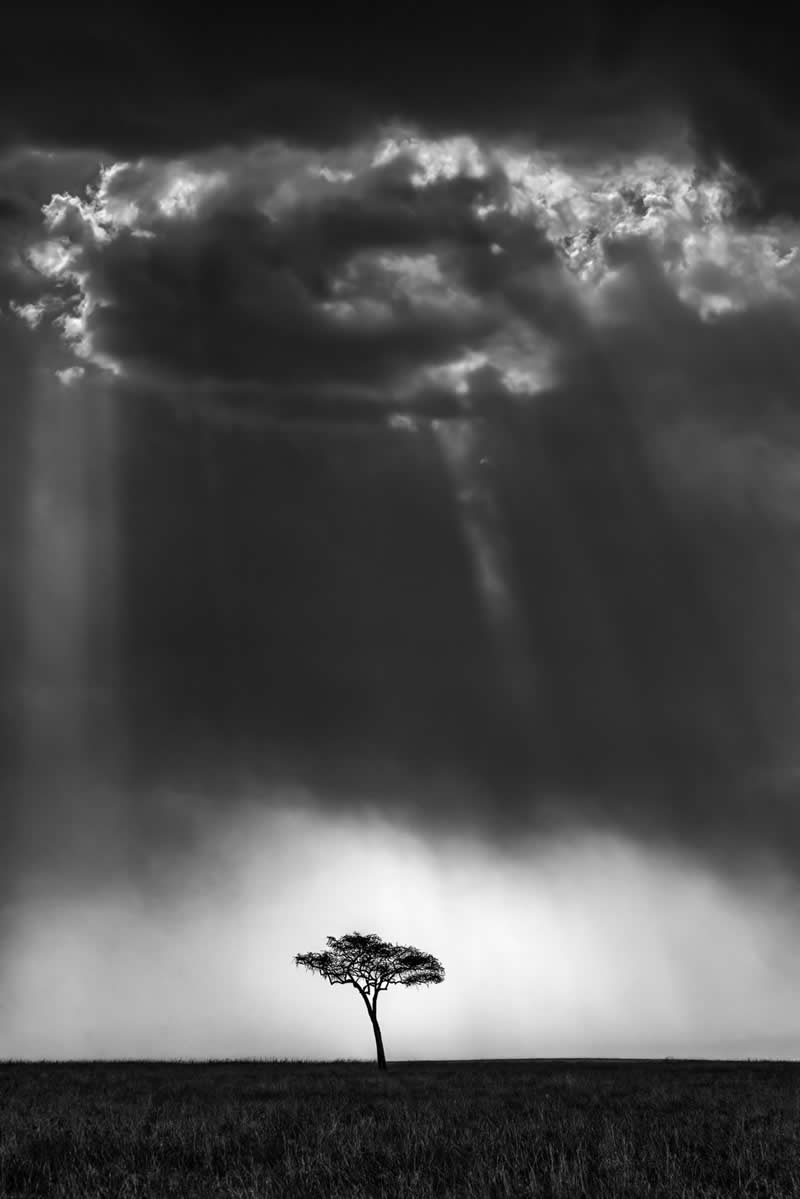 Skyfall by Preeti & Prashant Chacko - Nature Winners of the 2025 Refocus Awards