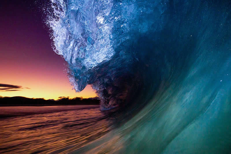 First Light by Aaron Lynton - Nature Winners of the 2025 Refocus Awards