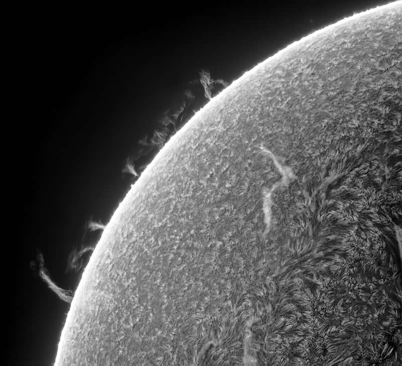 Royal Society Publishing Photography Competition 2025 Winners