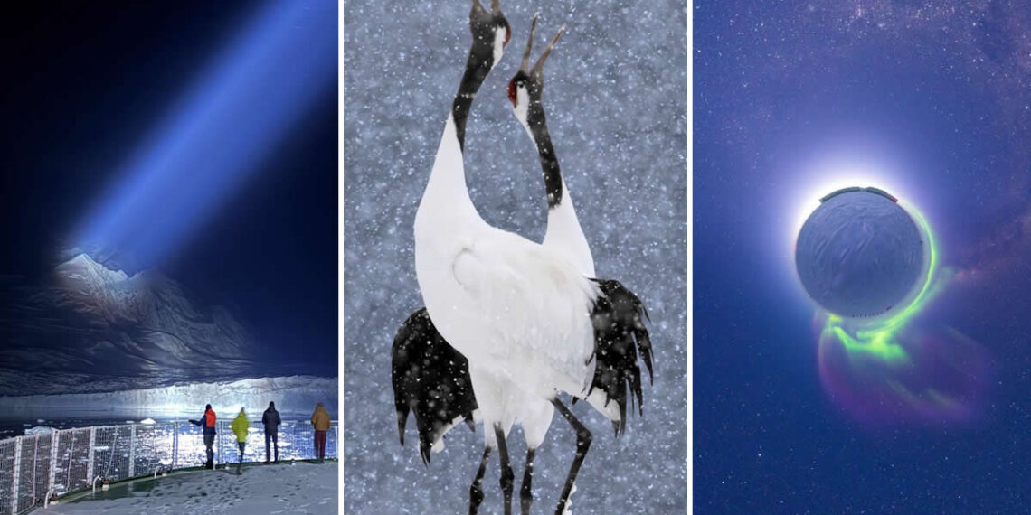 Royal Society Publishing Photography Competition 2025 Winners