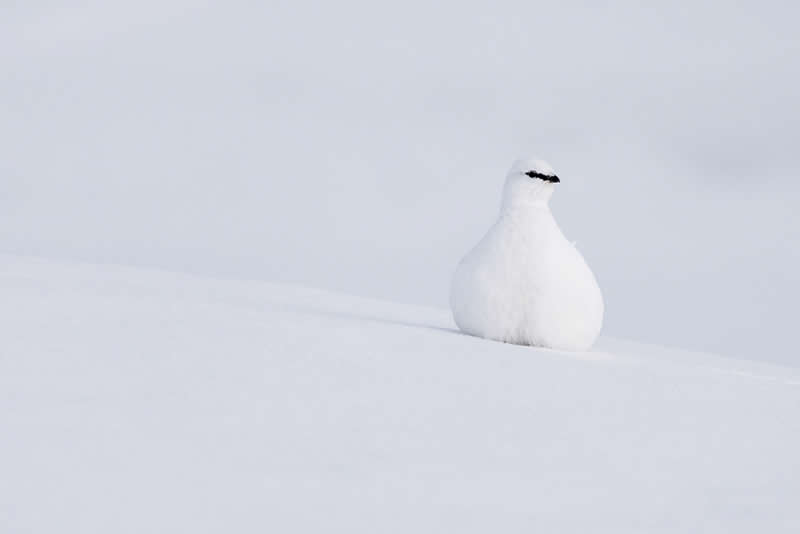 Sony World Photography Awards Open Competition entries