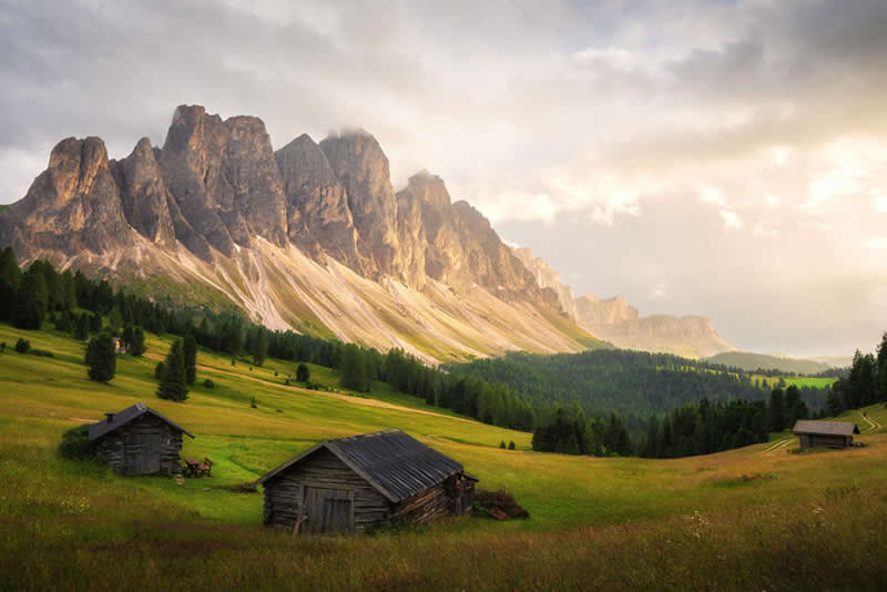 Sony World Photography Awards Open Competition entries