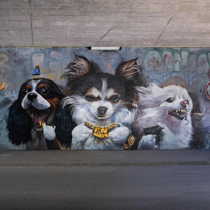 Color Nomads Dawgs - Street Artworks by Fabian Bane Florin