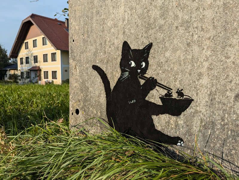 Chopstick Cat - Austria - Street Artworks by Tabby