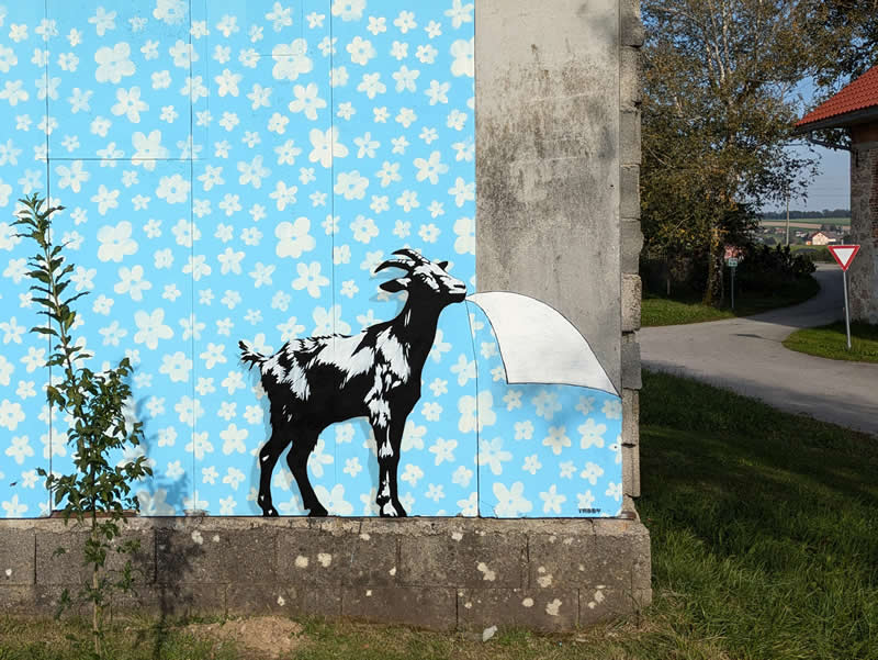 Floral Feast - Street Artworks by Tabby