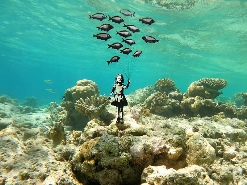 Flying Fish - Underwater Plexiglass Graffiti - Street Artworks by Tabby