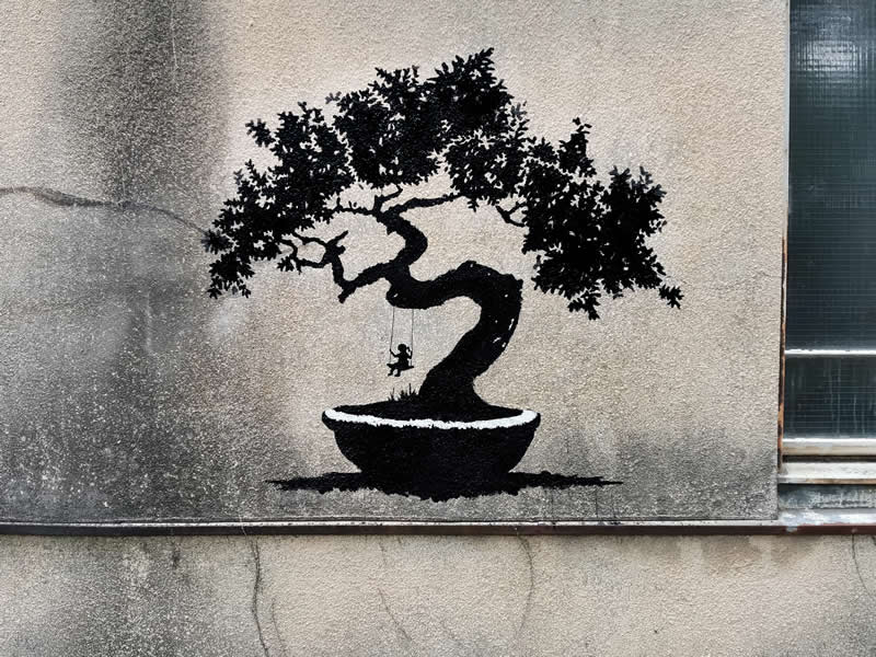 Bonsai - Street Artworks by Tabby