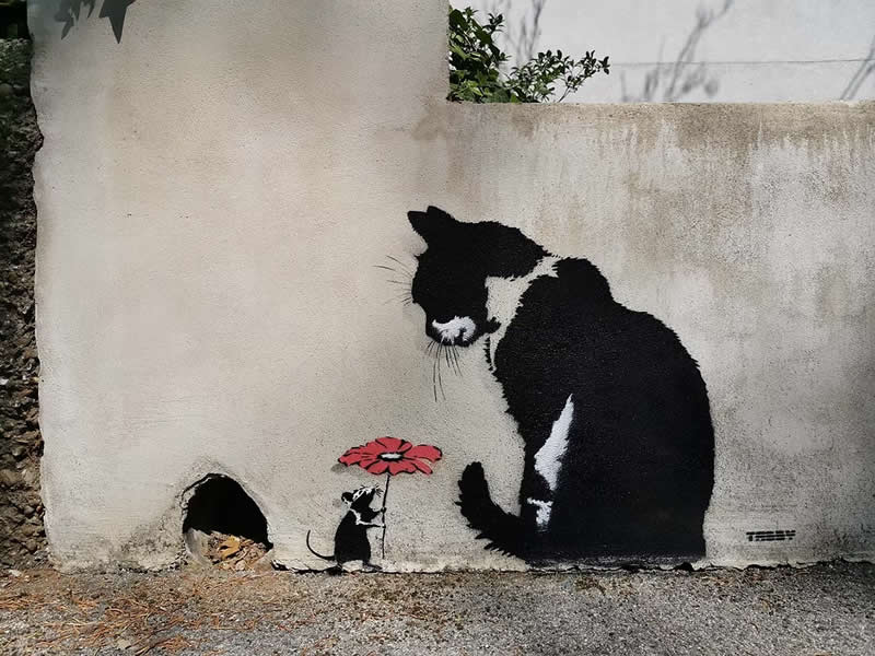 Blooming Friendship - Street Artworks by Tabby