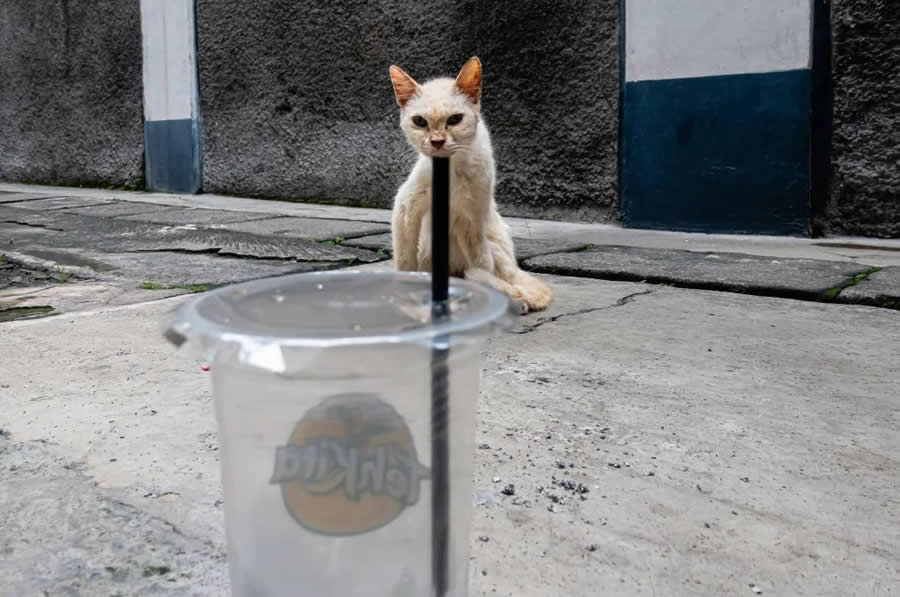 Indonesia Street Photography by Fajar Wiji Raharjo