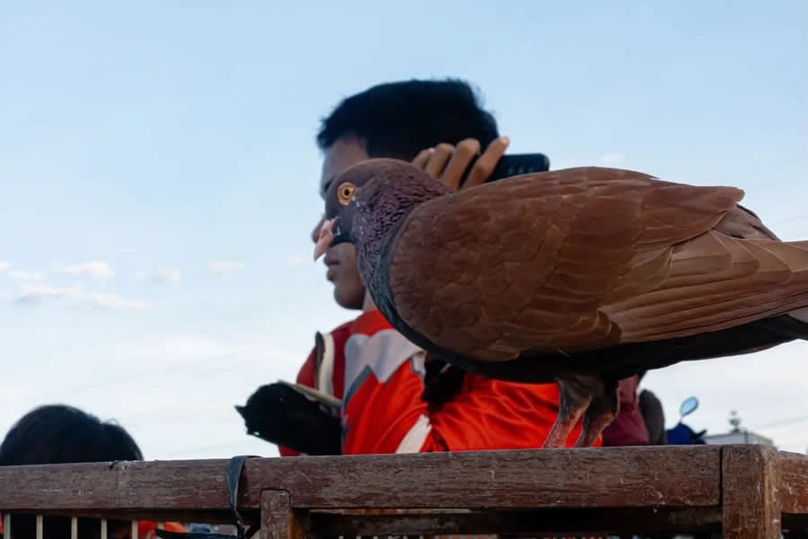 Indonesia Street Photography by Fajar Wiji Raharjo