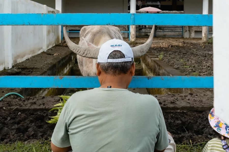 Indonesia Street Photography by Fajar Wiji Raharjo