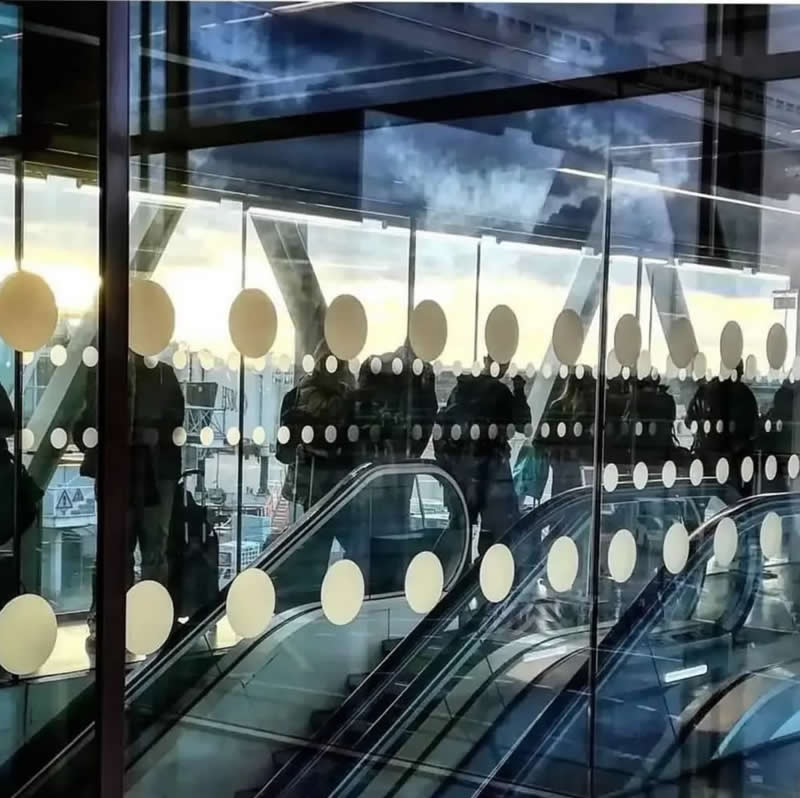 Perfect Street Moments by Giancarla Pancera That Show Timing Is Everything