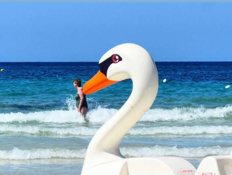 Perfect Street Moments by Giancarla Pancera That Show Timing Is Everything