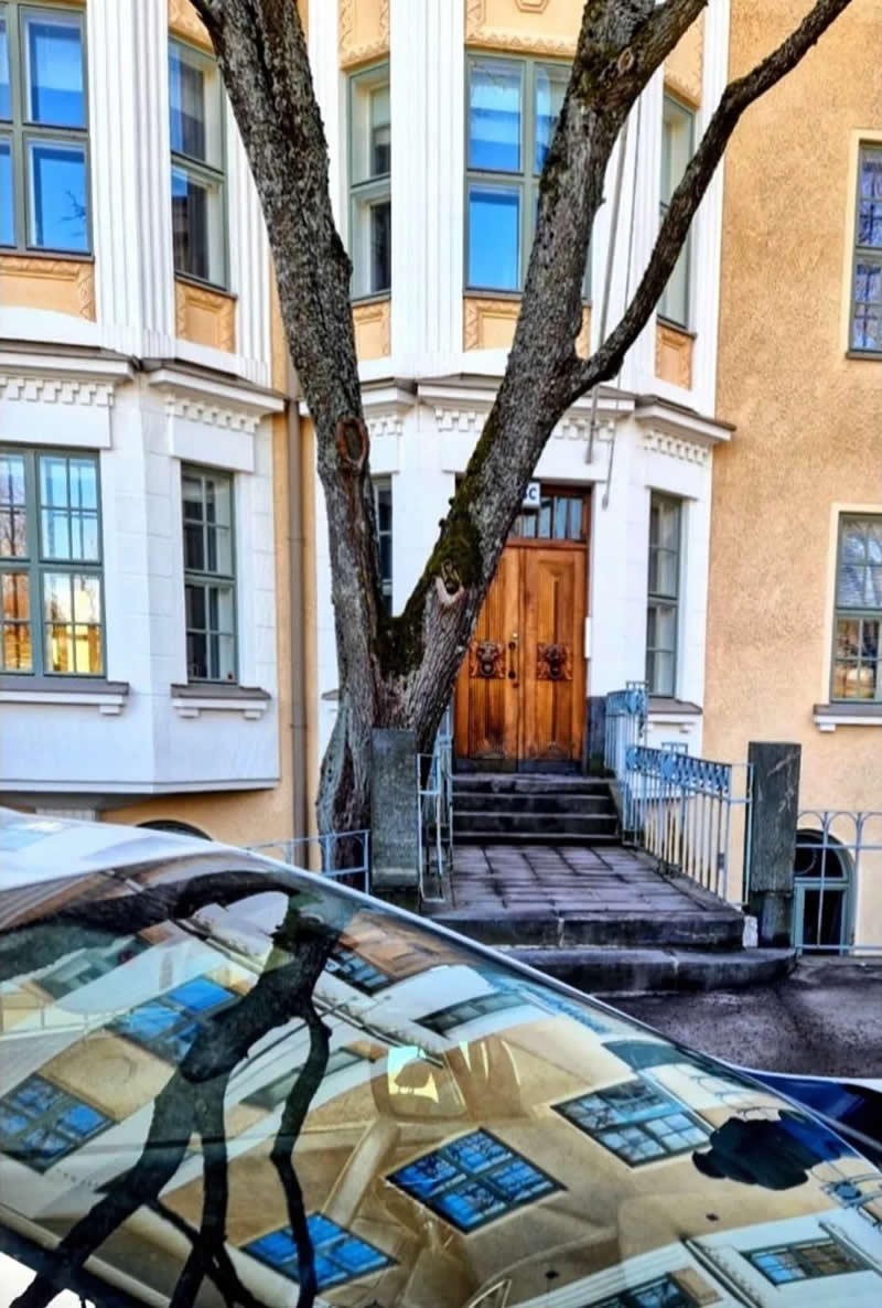 Perfect Street Moments by Giancarla Pancera That Show Timing Is Everything