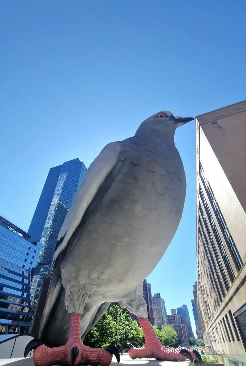 Perfect Street Moments by Giancarla Pancera That Show Timing Is Everything