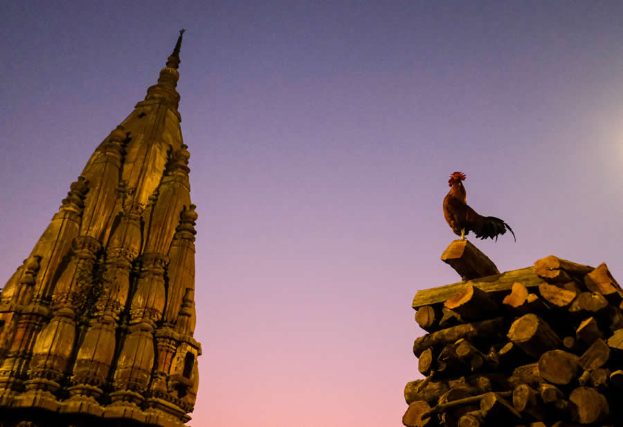 Indian Street Photography by Vivek Sagar