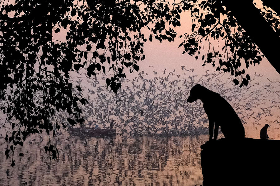 Indian Street Photography by Vivek Sagar