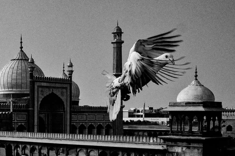 Indian Street Photography by Vivek Sagar