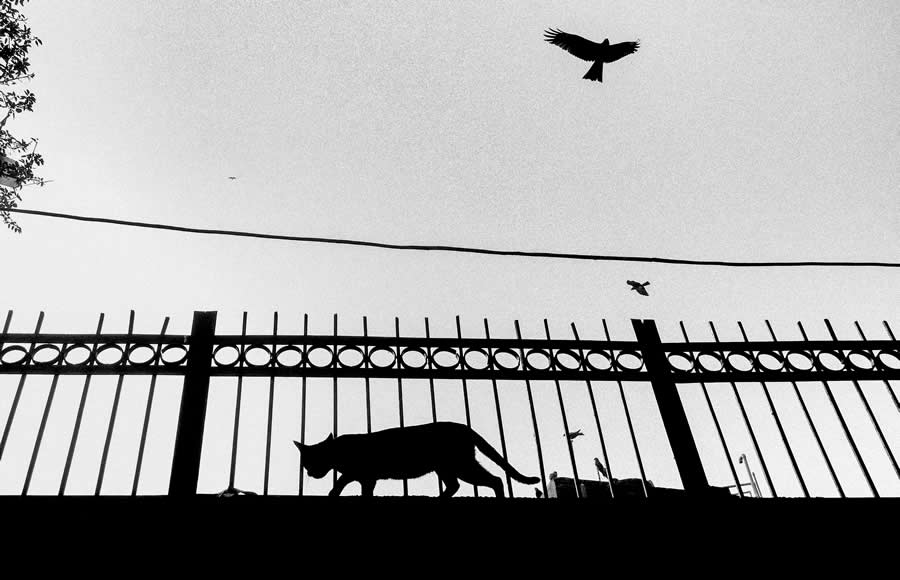 Indian Street Photography by Vivek Sagar