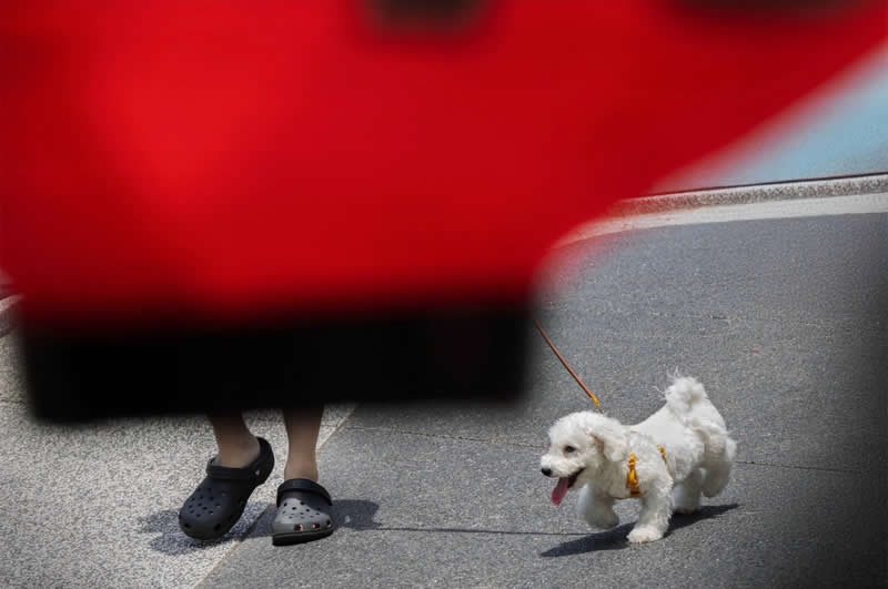 Taiwan Street Photography by Lai Hui Fen