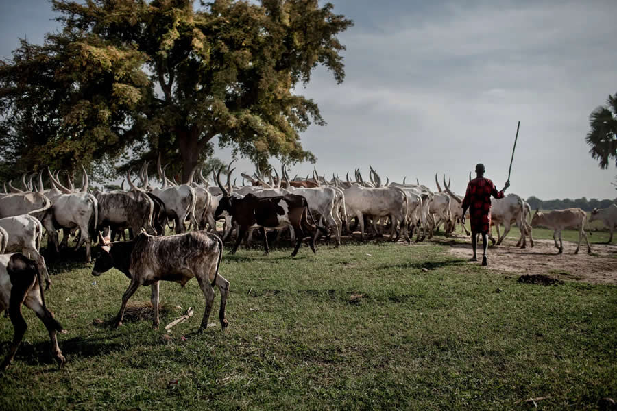Timeless Life of the Dinka People by Casper Hedberg