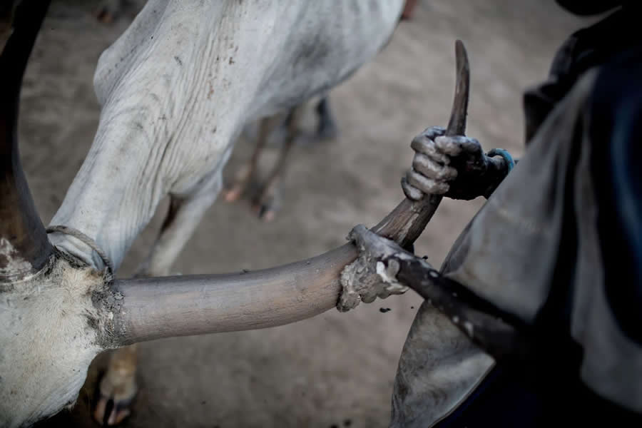 Timeless Life of the Dinka People by Casper Hedberg