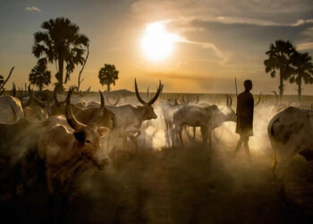Timeless Life of the Dinka People by Casper Hedberg