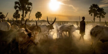 Timeless Life of the Dinka People by Casper Hedberg