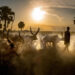 Timeless Life of the Dinka People by Casper Hedberg